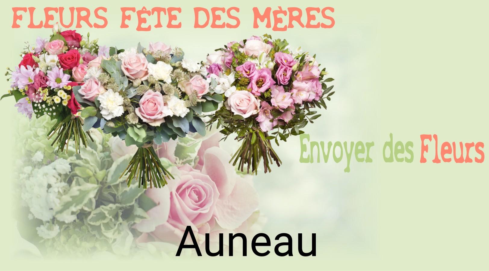Bouquet de Fête des Mères livré à Auneau